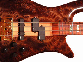 Spector Limited Edition Water Cured Redwood Burl Bass